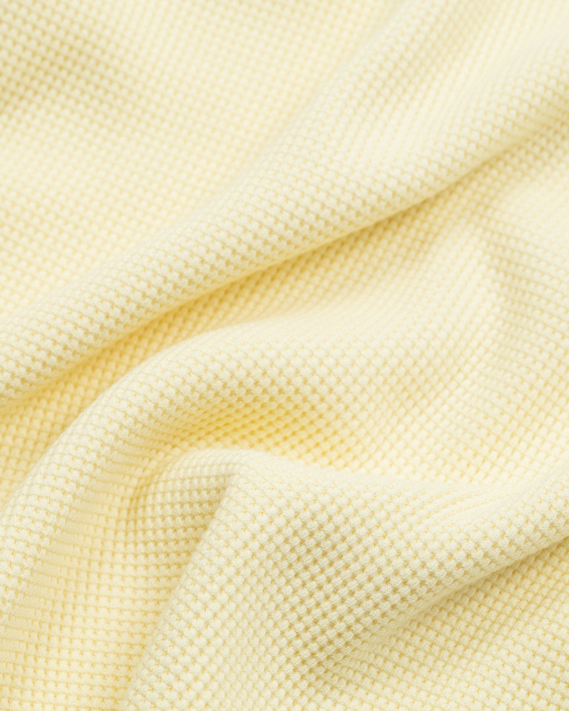 Gradient Logo Thermal - Egg Nog