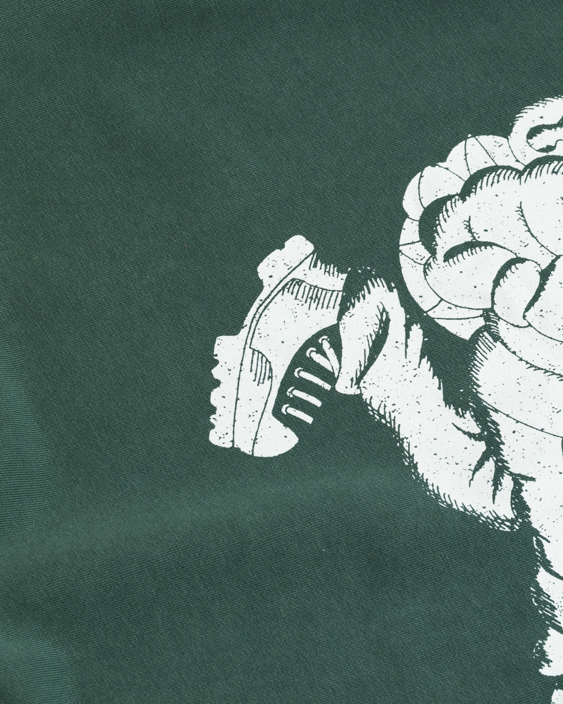 Wayne Raglan Sleeve Sweatshirt - Artichoke