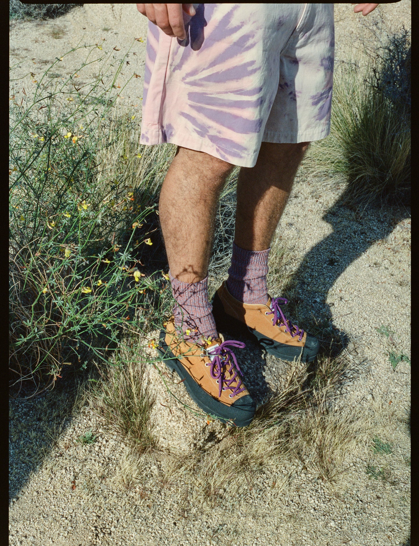 Big Rock Socks - Fruit Punch
