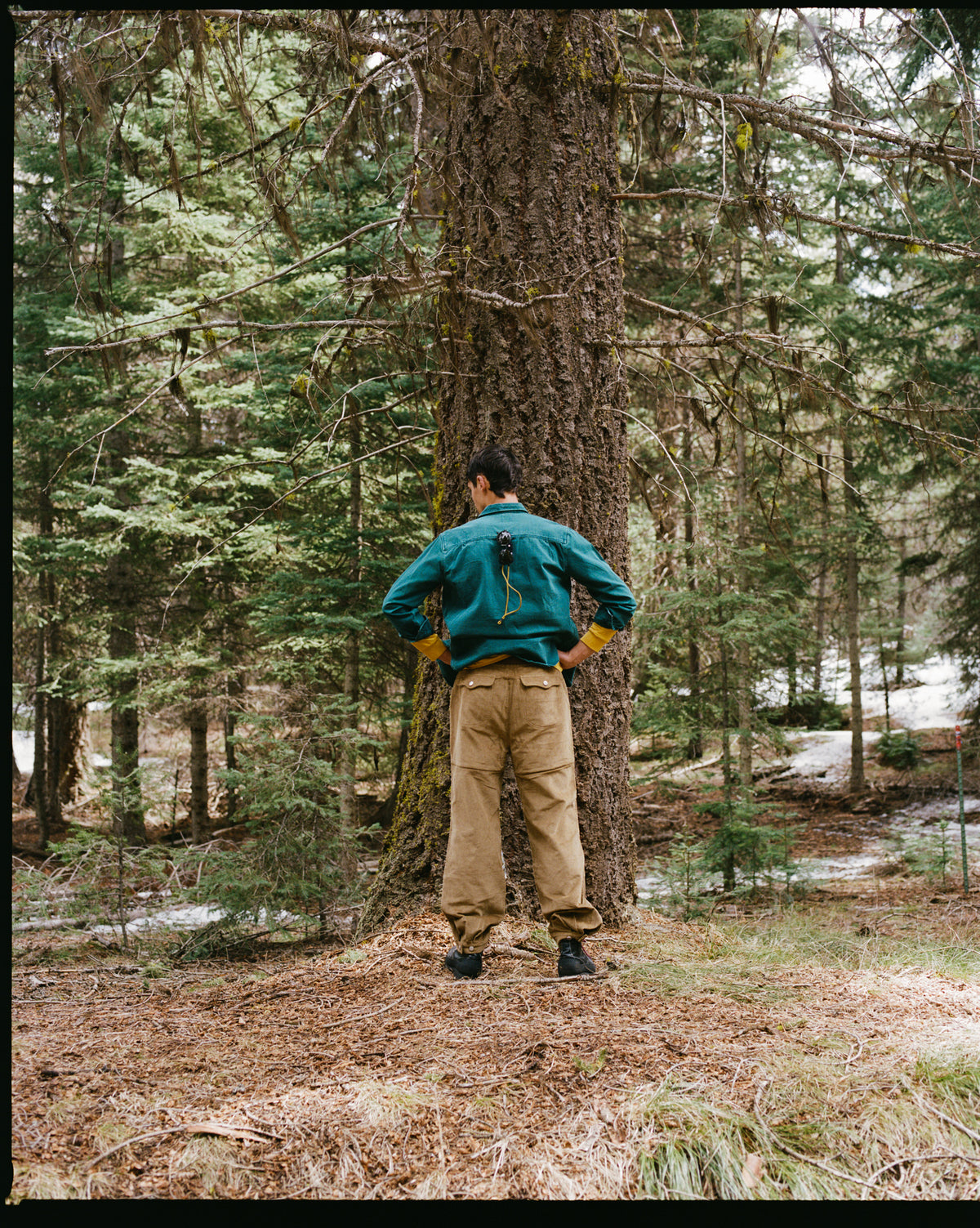 Teton Shirt - Kale