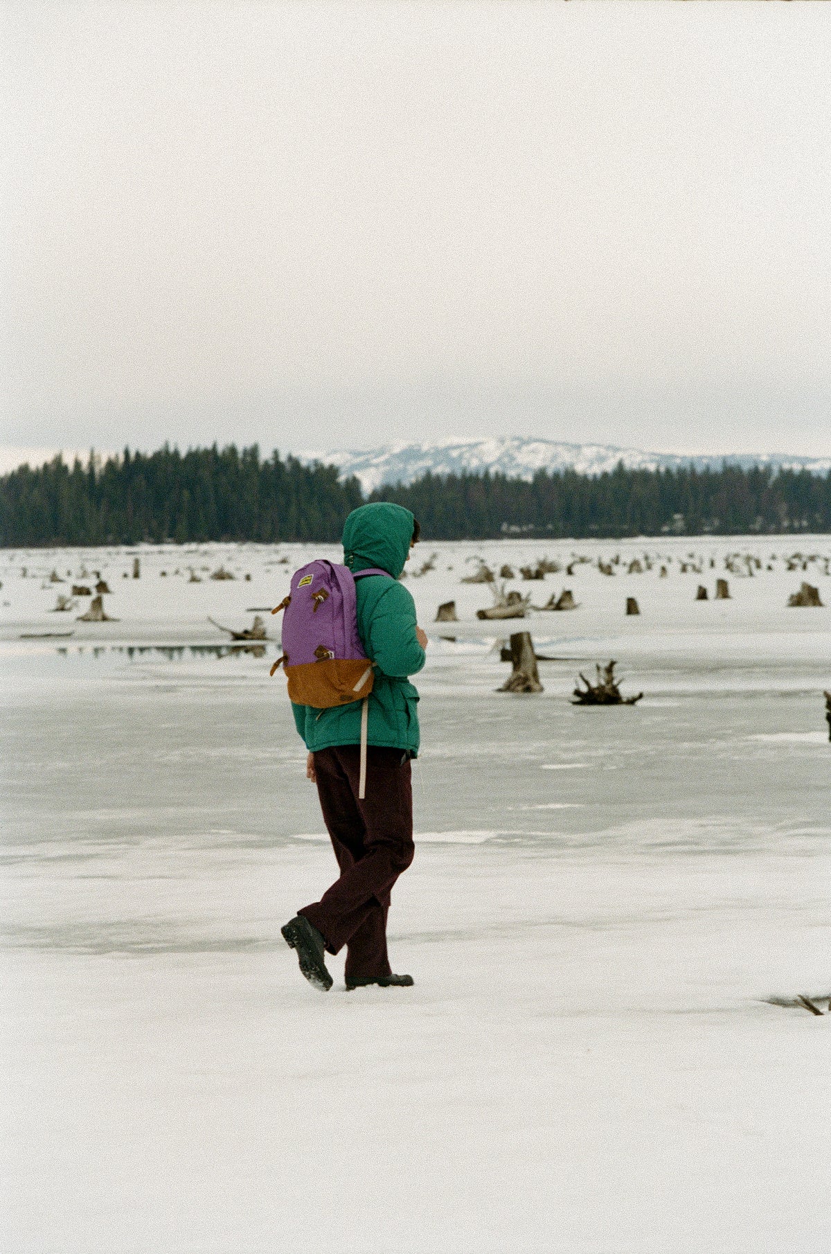 Gator Backpack 2.0 - Prune