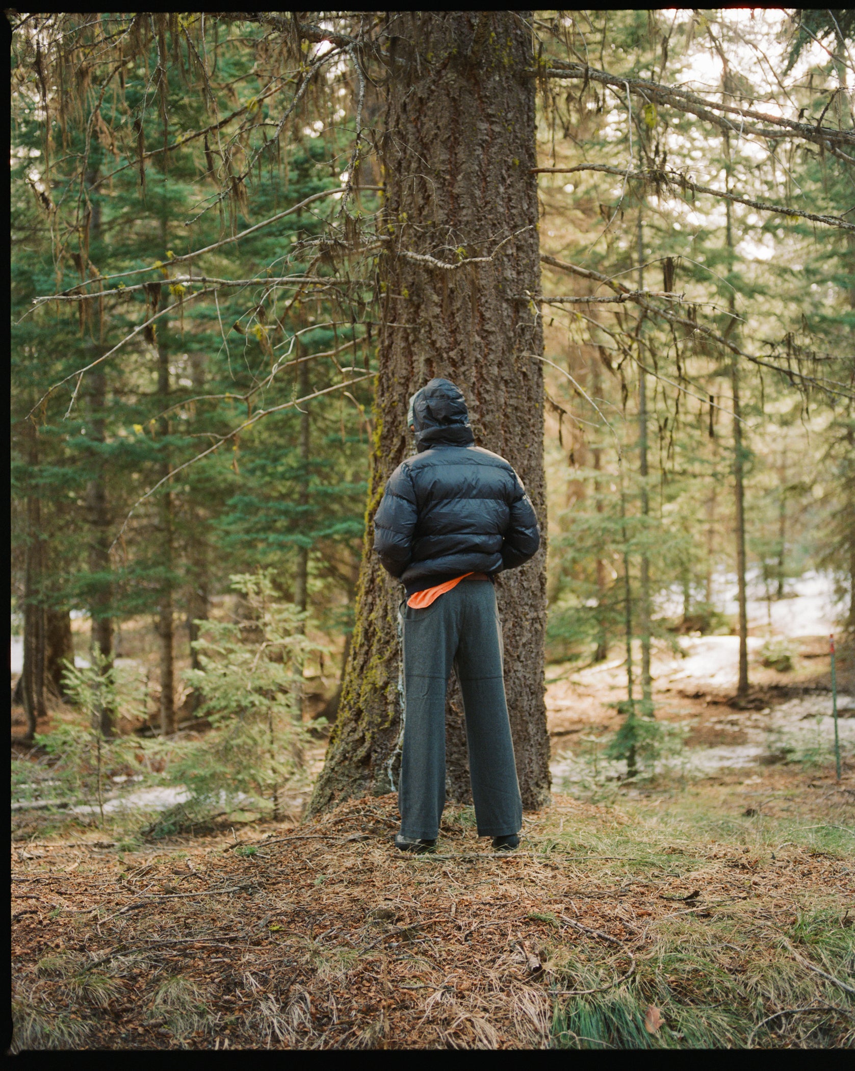 Alpine Jacket - Black Licorice – Big Rock Candy Mountaineering