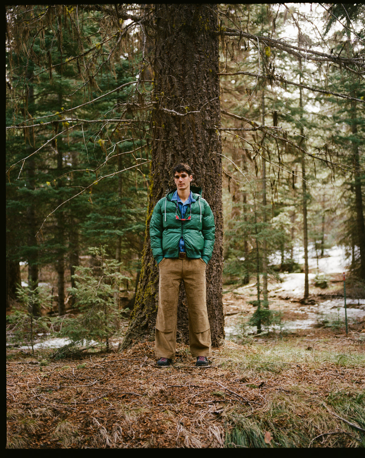 Alpine Jacket - Pickle