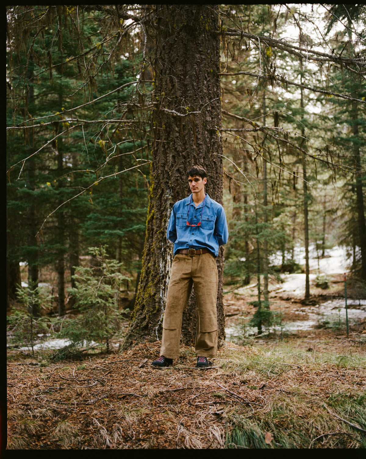 Nova Canvas Shirt - Cool Ranch