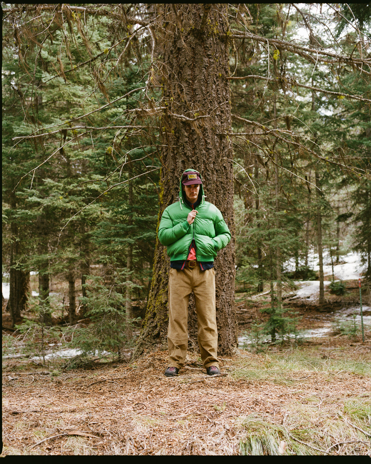 Alpine Jacket - Green Apple