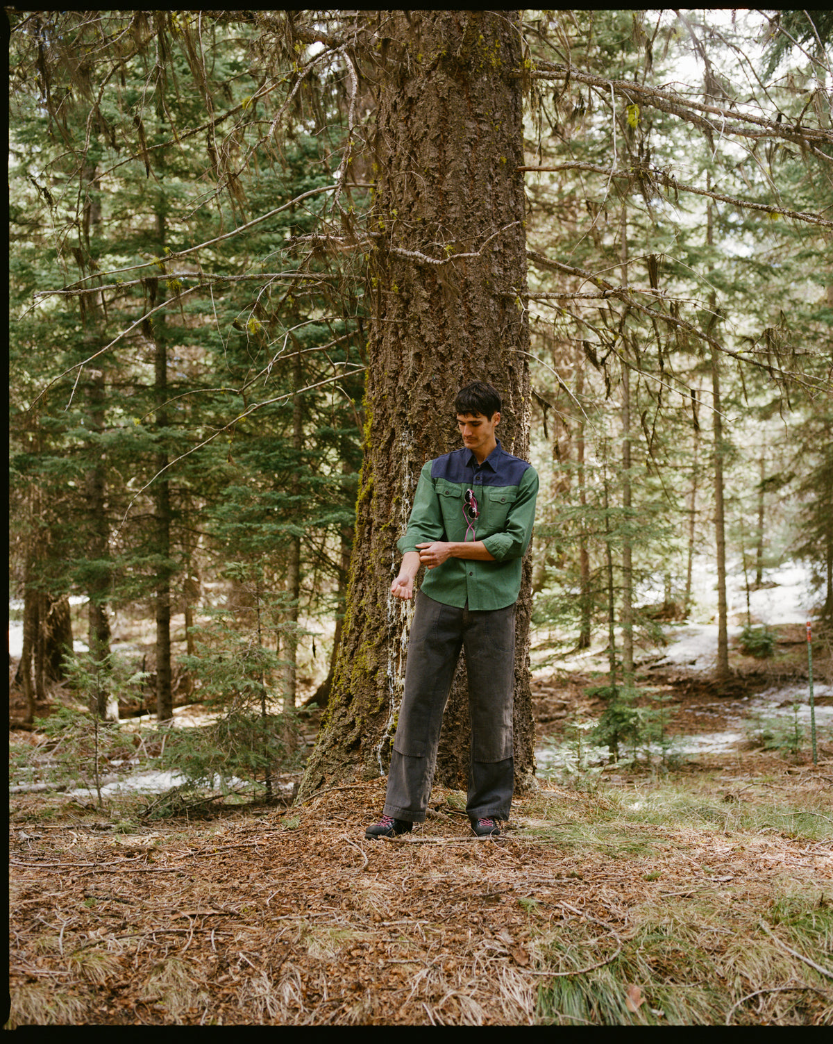 Dolomite Shirt - Artichoke